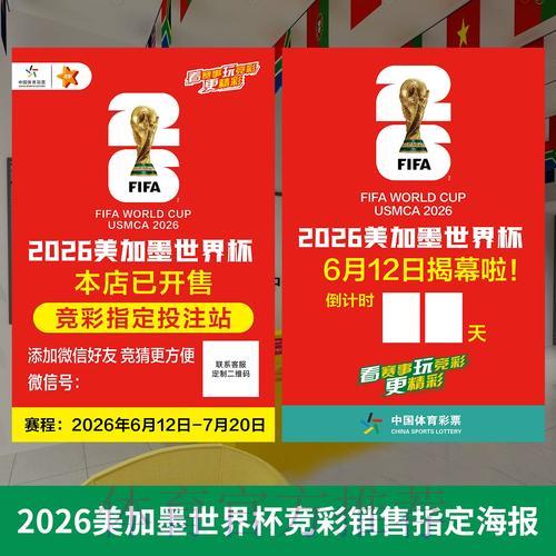 2026世界杯投注专家意见解析
